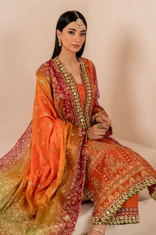 Baroque Luxury Chiffon Formal Wedding Collection – Mehndi Vibes