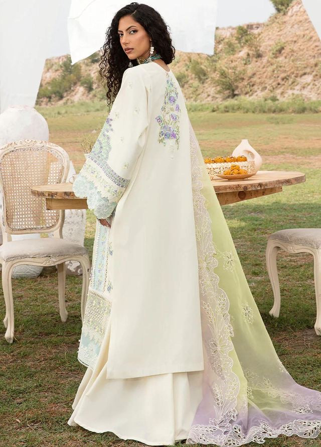 Bin Ilyas Lawn Collection 2024