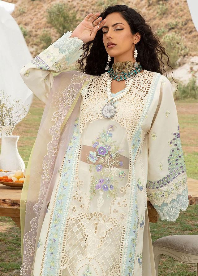 Bin Ilyas Lawn Collection 2024