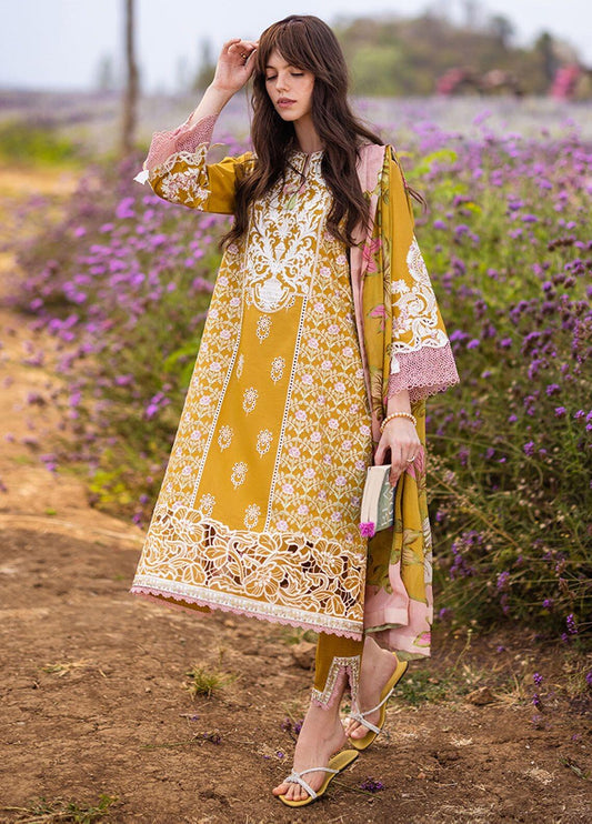 MUSHQ LUXURY LAWN CHICKEN KARI COLLECTION